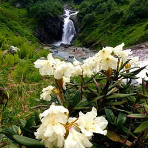 Долина Санчаро