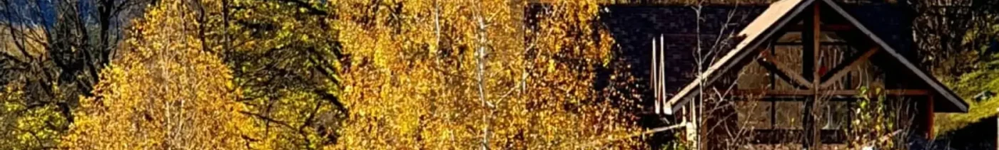 88b31716-54af-4dd2-8b22-24be78d05f4f-25254d04-12f4-420c-9d21-77d6759e6af6-file_189591(1).webp