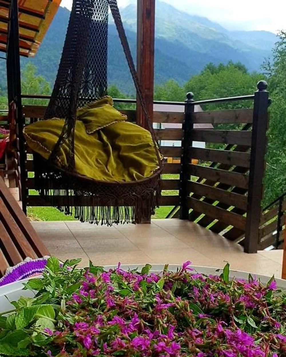 Отель "ПихтаHouse"