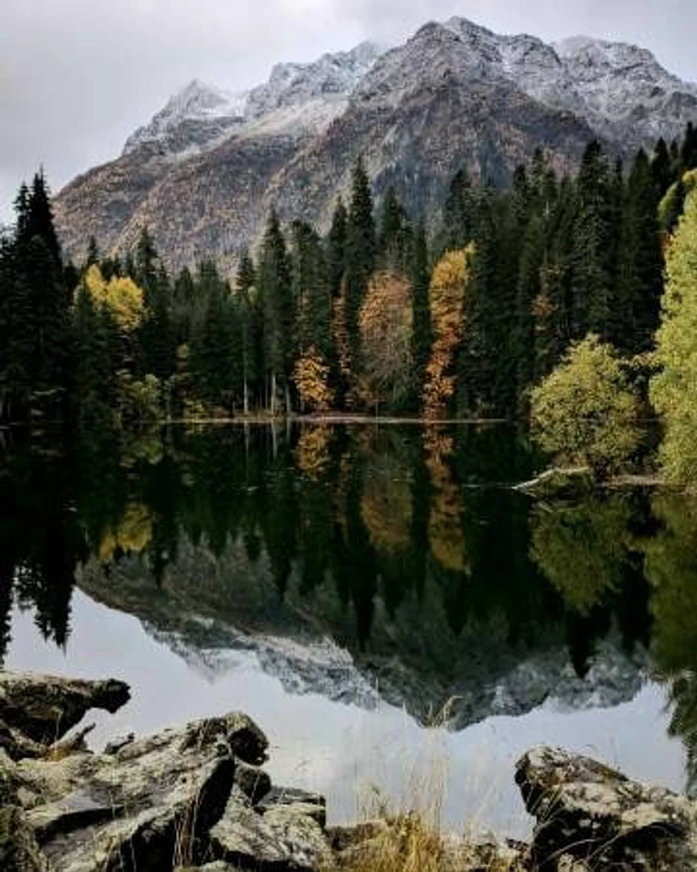 Отель "Резиденция Пихта"