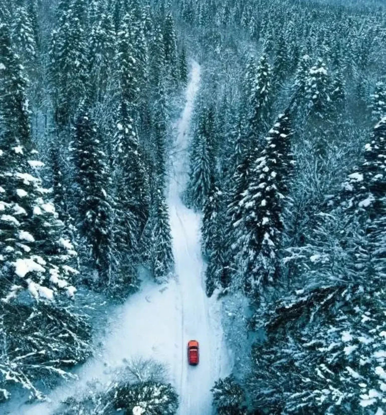 image-2